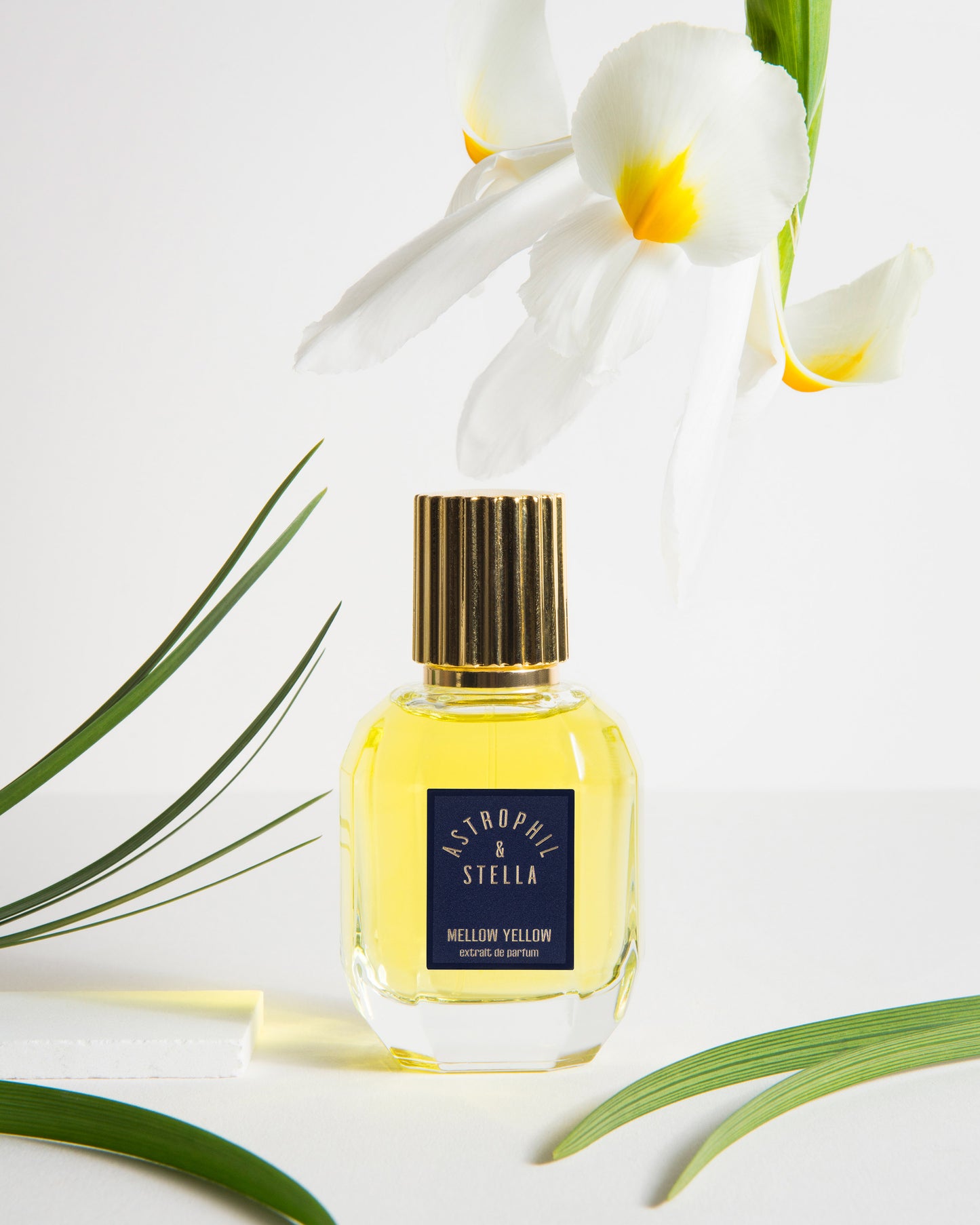 Mellow Yellow - Astrophil and Stella - 50ml